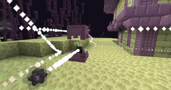 Texture shulker Wither Head