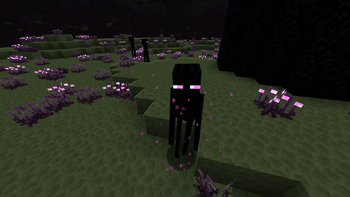 Dungeons Endermen