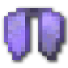 Spawn Elytra