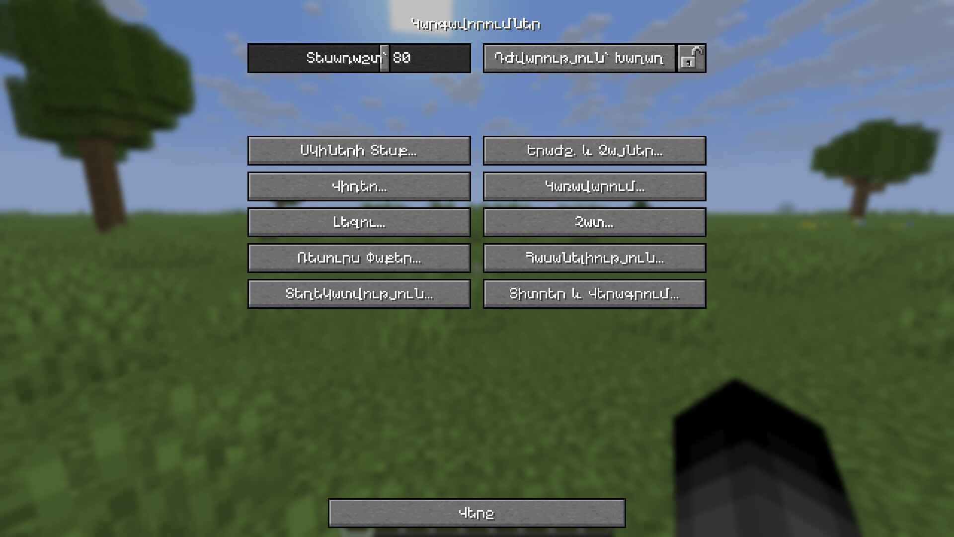 Options Menu