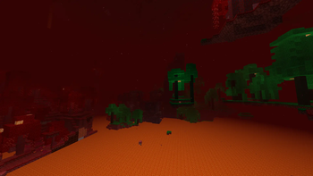The Pure Forest.