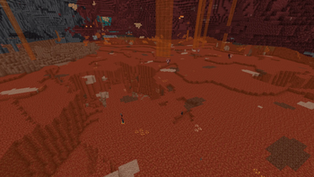 The nether