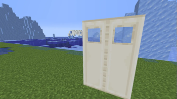 Wooden Door
