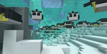 Many penguins swimming