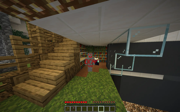 Skin in game