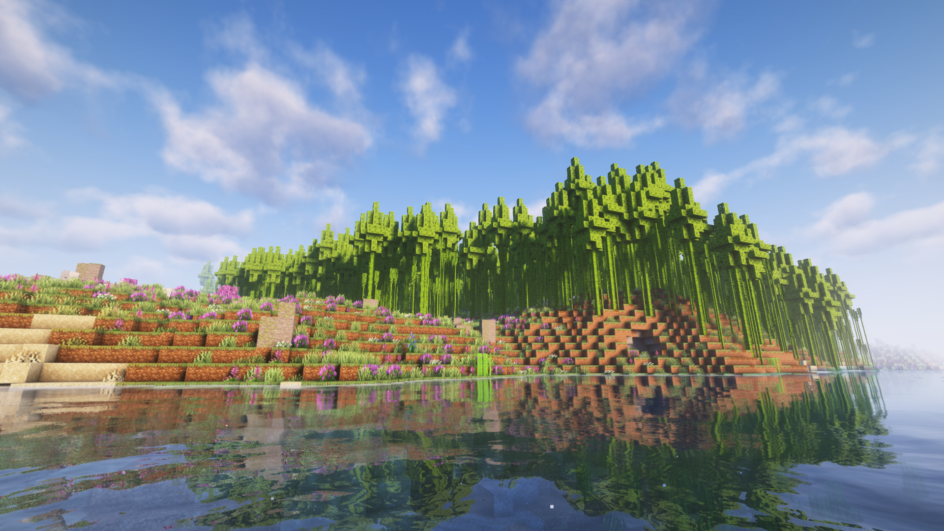 Bamboo Forest?