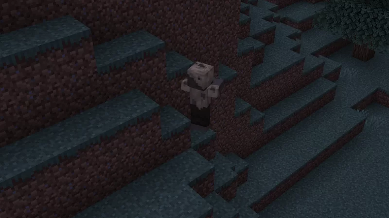 Husks spawn everywhere