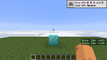 Block and entity reach