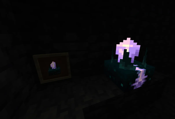 Calibrated Sculk Sensor glowing with an item frame holding one