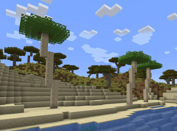 Palm Trees