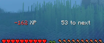Visible EXP