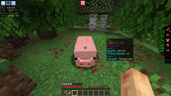 Pointed Entity HUD + Properties