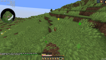Totem tweak (tiny totem)