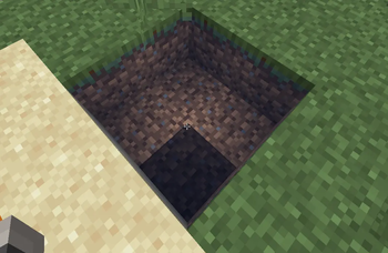 Clear Water