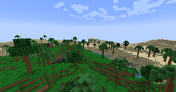 Palm forest