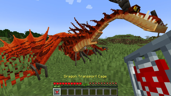 Dragon Transport Cage: Cage Dragon