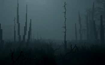 Night in the swamps