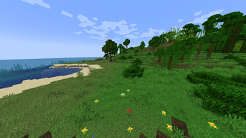 Before
