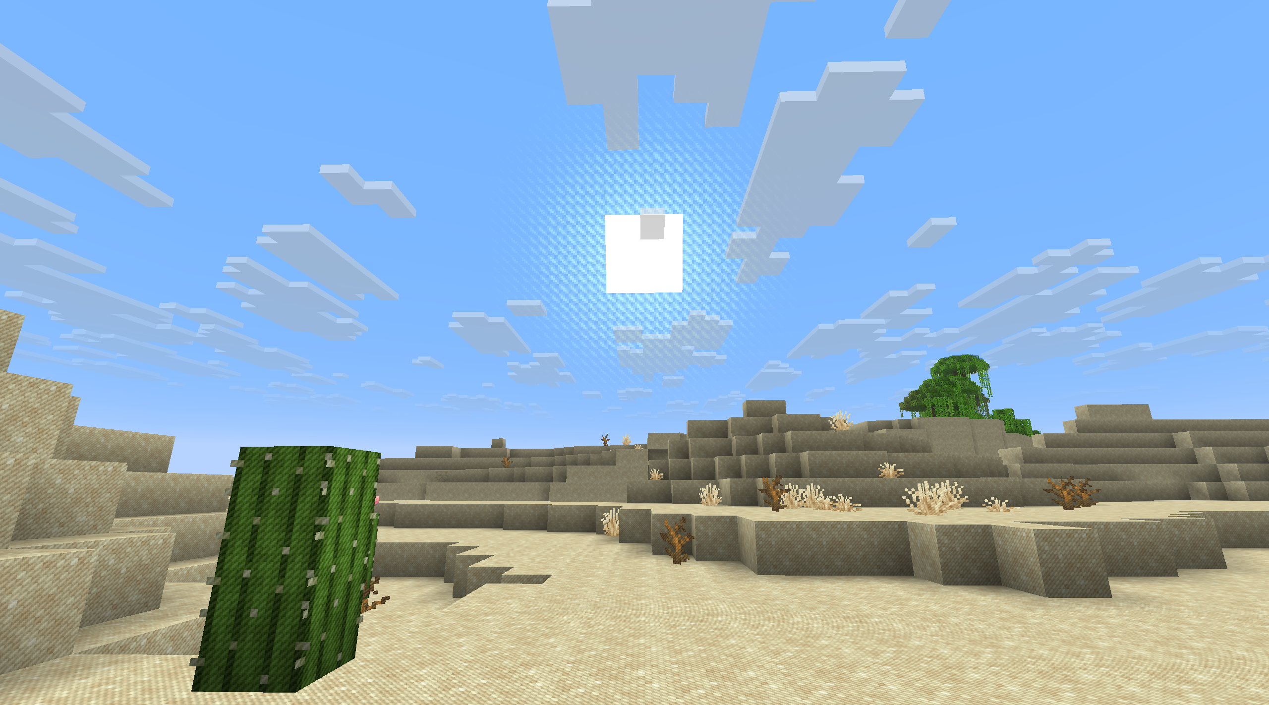 Desert Landscape