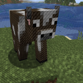 A soft looking cow