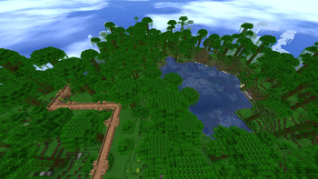 Jungle Village Path near Lake