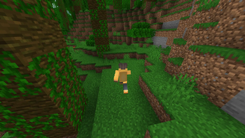 Walking Animation (In 3rd person)