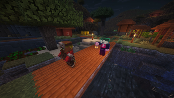 A village with a player
