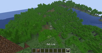Ash Forest