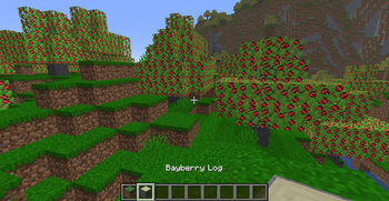 Bayberry Forest