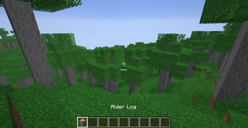 Alder Forest