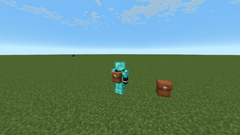 Backpack and armor