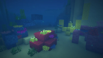underwater coral 