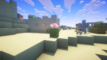 desert village 2