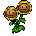 Prpe