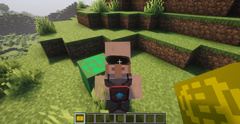 The villager
