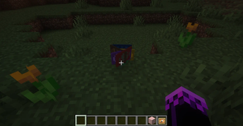 All of the items on the ground