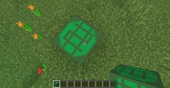 The money block placed down