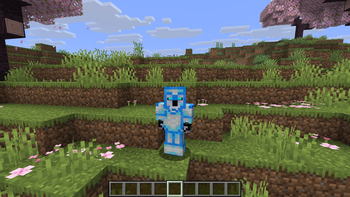 White Armor With Blue Trim