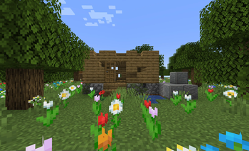 Broken House...