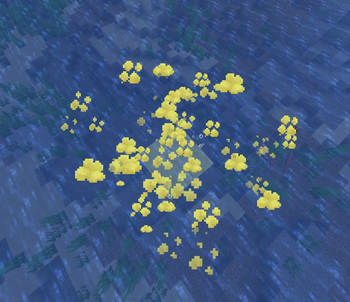 2x2 geyser