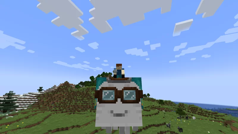 Me on the Happy ghast