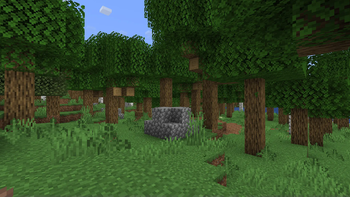 Forest