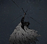 kingcrow