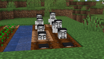 Chud crops growing
