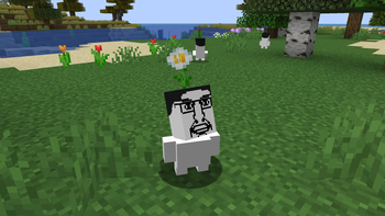 Flower Chuds
