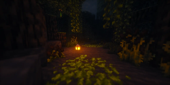 Swamps in the night