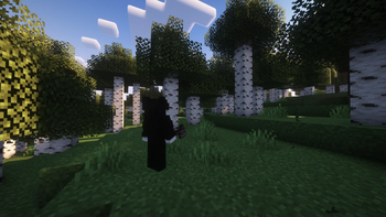 Visual enhancements