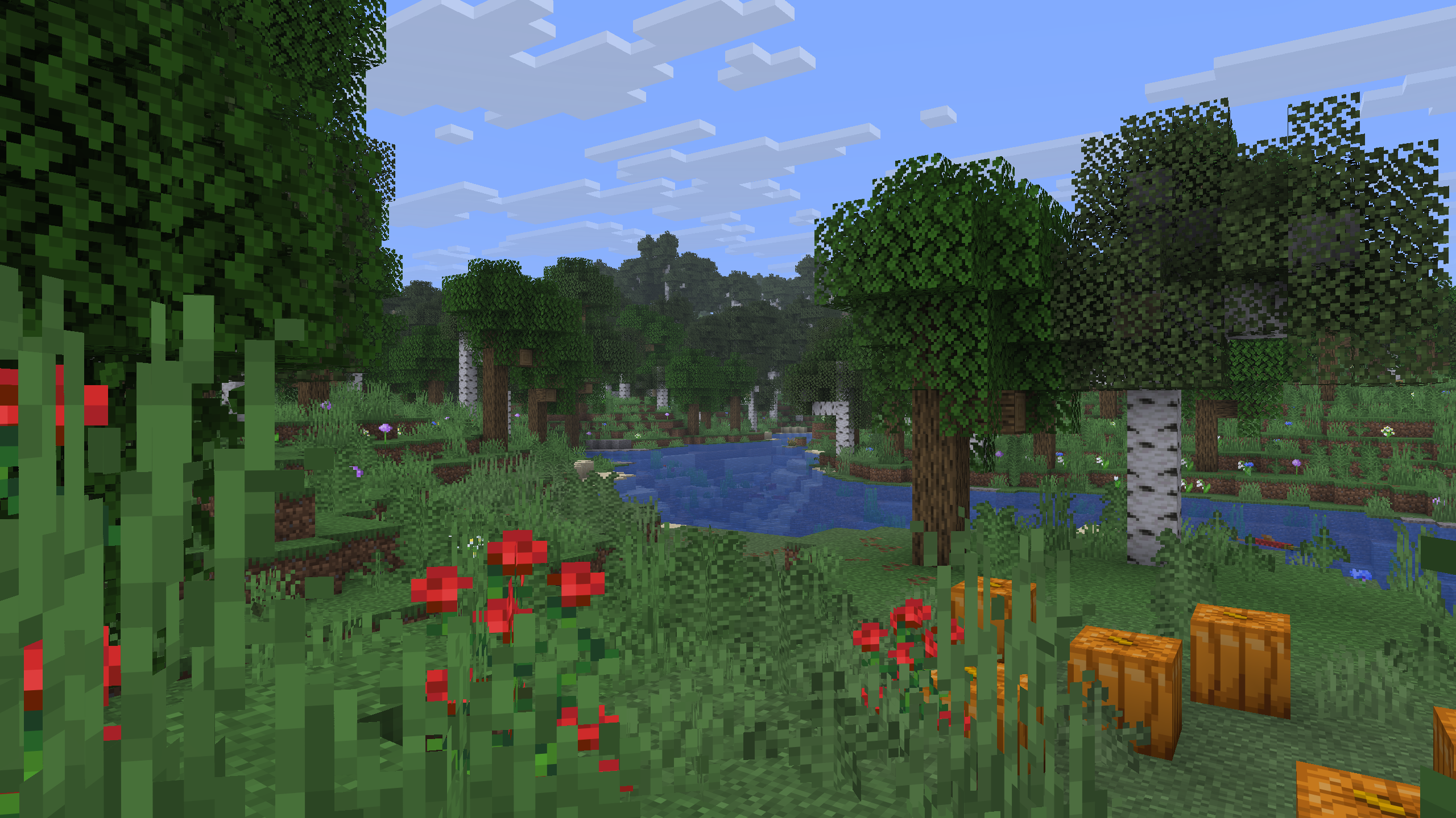 A screenshot of a Forest and a distant Old Growth Birch Forest