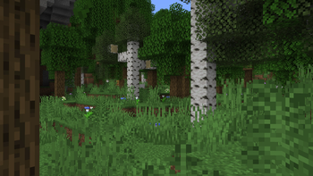 Biomes Rebalanced's Oak Forest enhancement