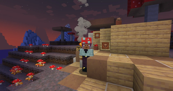 Red Mushroom Cap